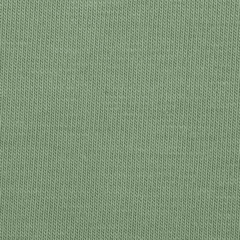 Трикотаж Модал 210гр/м2, 48мод/48хб/4лкр, 190см, пенье, зеленый бледный №17-6323 ТСХ/S211 TR020 (КГ)3